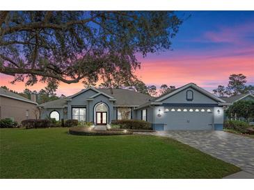 Beautiful one-story home with landscaped yard and paver driveway at 9033 Laurel Ridge Dr, Mount Dora, FL 32757