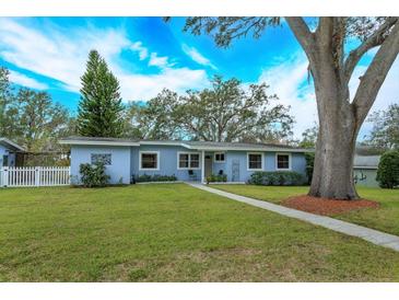 Cute light blue house with a spacious yard, walkway, and large tree at 1420 Anderson St, Clermont, FL 34711