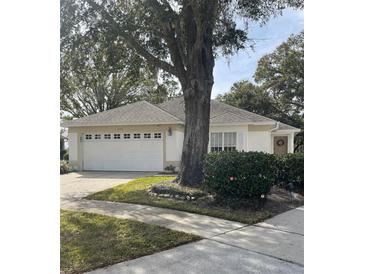 One-story home with white exterior, attached garage, and landscaping at 7023 Arcadian Ct, Mount Dora, FL 32757