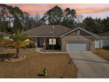 One-story home with a landscaped yard and two-car garage at 10291 Se 69Th Ter, Belleview, FL 34420