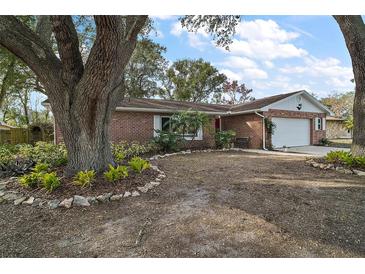 Charming brick home featuring a large, mature shade tree and well-manicured landscaping at 3450 Laurel Dr, Mount Dora, FL 32757