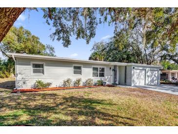 Charming single story home with manicured front yard and freshly painted exterior at 2667 Northland Rd, Mount Dora, FL 32757