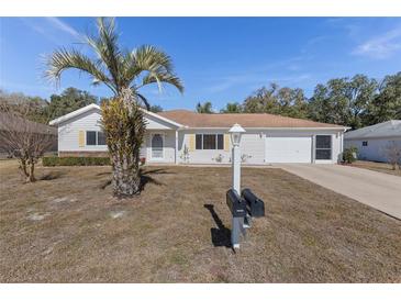 Charming single-story home with a well-maintained lawn, complemented by a mature palm tree and a two-car garage at 9951 Se 175Th St, Summerfield, FL 34491