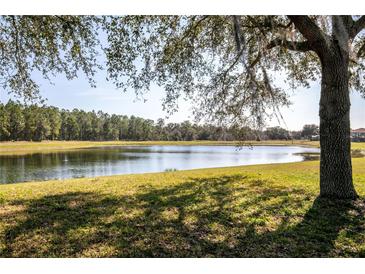 Scenic lake view showcasing the serene water and bordering trees on a sunny day at 16825 Sunrise Vista Dr, Clermont, FL 34714