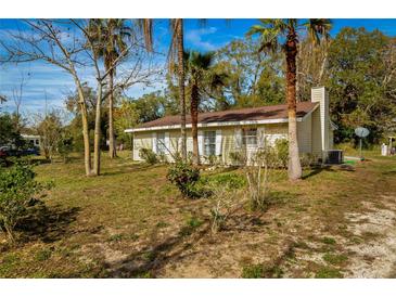 Charming home featuring a light yellow exterior, brown roof, and mature trees on a spacious lot at 18415 County Road 33, Groveland, FL 34736