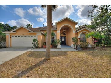 Charming home with arched entry, two car garage, and well-maintained landscaping at 3310 Osprey Hill St, Clermont, FL 34714