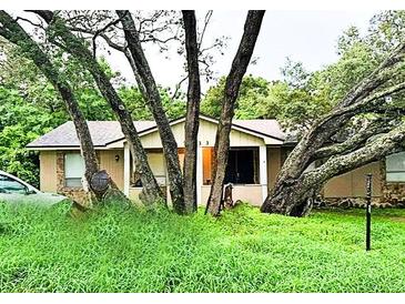 Modest single-story home with lush, overgrown front yard landscaping and mature trees at 7133 Tallowtree Ln, Orlando, FL 32835