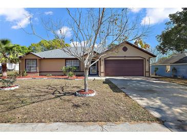 Charming single-story home with a well-maintained yard and inviting curb appeal at 909 Palm Forest Ln, Minneola, FL 34715