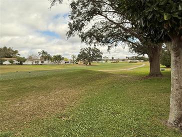 Scenic view of lush green golf course with mature trees and blue skies at 1532 W Schwartz Blvd, Lady Lake, FL 32159