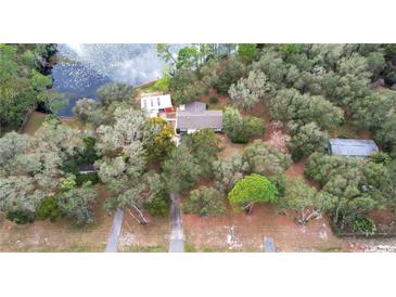 Aerial view of a home surrounded by lush greenery and trees, situated near a beautiful lake at 31241 Benton Dr, Eustis, FL 32736