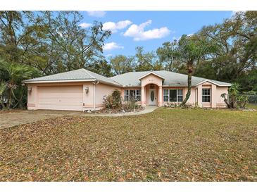 Charming single-story home featuring a well-maintained front yard and attached two car garage at 2541 Lake Griffin Rd, Lady Lake, FL 32159