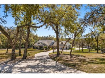 Stunning home on a large lot featuring a long driveway, mature trees, and a meticulously maintained lawn at 2600 Robie Ave, Mount Dora, FL 32757