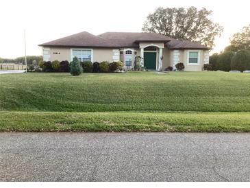 Charming single-story home featuring lush landscaping, a well-manicured lawn, and a welcoming green front door at 10846 Point Nellie Dr, Clermont, FL 34711