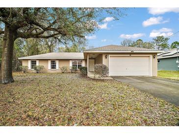 Charming single-story home with a two-car garage and well-maintained landscaping at 109 Pecan Pass, Ocala, FL 34472