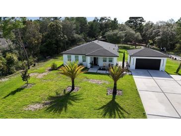 Modern home with a well-manicured lawn and a detached garage at 42329 Chinaberry St, Eustis, FL 32736