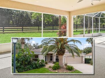 Charming single-story home boasts a two-car garage, and lush landscaping with a beautiful palm tree at 164 Palermo Pl, The Villages, FL 32159