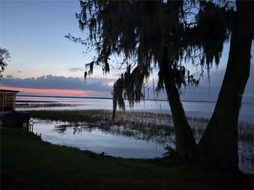 Scenic lake view at dusk, featuring calm water, trees with hanging moss, and a serene, natural landscape at 2225 Cypress Ct # 2C, Tavares, FL 32778