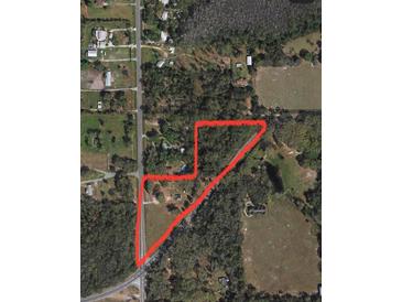 Aerial view of expansive lot with mature trees, offering privacy and natural beauty in a desirable location at 36126 Cr 439, Eustis, FL 32726