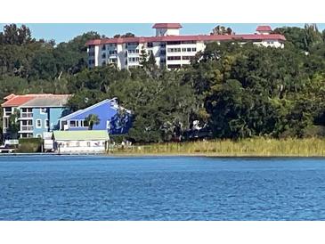 Charming waterfront condos with lush trees and views of the open water create a peaceful escape at 601 N Mcdonald St # 208, Mount Dora, FL 32757