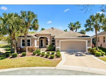 Charming one-story home featuring a lush lawn, mature landscaping and an attached two-car garage at 1797 Pamplico Ct, The Villages, FL 32162