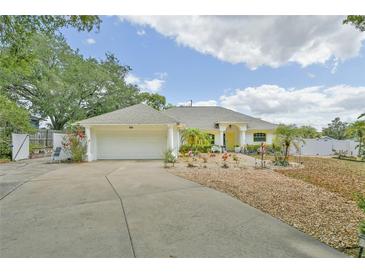 Charming single-story home with a well-manicured front yard and attached two-car garage at 202 N Palm Ave, Howey In The Hills, FL 34737