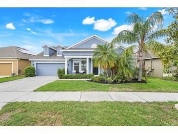 Charming single-story home featuring a well-manicured lawn, a two-car garage and beautiful tropical landscaping at 251 Blue Cypress Dr, Groveland, FL 34736