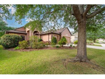 Charming home exterior features lush landscaping and a well-maintained lawn, plus a two-car garage at 3048 New Haven Pl, Mount Dora, FL 32757
