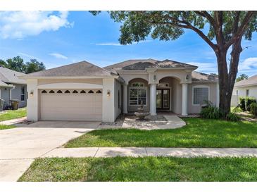 Charming single-story home with a well-manicured lawn, attached garage, and inviting front entrance at 33222 Irongate Dr, Leesburg, FL 34788