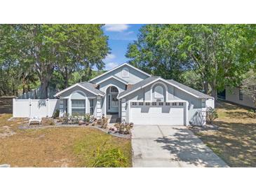 Charming single-story home featuring mature trees, a two-car garage, and a well-manicured front yard at 10339 Patrick Dr, Leesburg, FL 34788