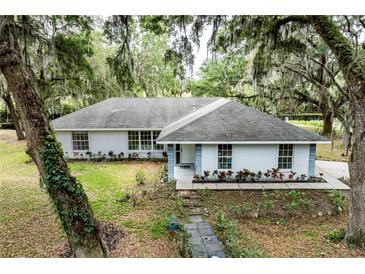 Charming single story home with a welcoming entrance and lush, mature landscaping adding to its curb appeal at 7938 Jacksons River Rd, Leesburg, FL 34788