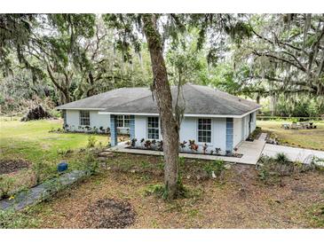 Charming single-story home with a well-maintained lawn and mature trees at 7938 Jacksons River Rd, Leesburg, FL 34788