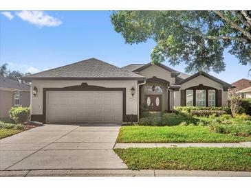Charming single-story home featuring a two-car garage, well-maintained landscaping, and a welcoming front entrance at 7034 Pine Hollow Dr, Mount Dora, FL 32757