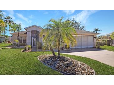 Well-maintained home with landscaped yard and lush green grass with palm trees at 20631 Prince Ranier Pl, Leesburg, FL 34748