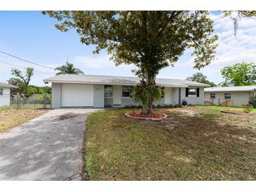 Charming single-story home features a well-manicured lawn, mature shade tree, and inviting curb appeal at 37132 Turner Dr, Umatilla, FL 32784