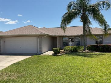 Charming single-story home with a lush green lawn and a stately palm tree in the front yard at 12258 Se 175Th Pl, Summerfield, FL 34491