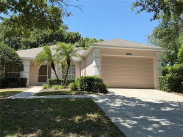 Charming single-story home featuring a two-car garage and well-manicured front yard with young palm trees at 4387 Sambourne St, Clermont, FL 34711