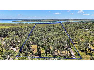 Beautiful wooded homesite with waterfront views, offering privacy and a serene natural setting at 40325 Emeralda Island Rd, Leesburg, FL 34788