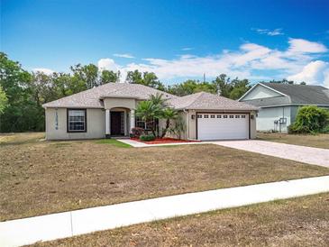Charming single-story home with a well-maintained lawn and a two-car garage on a sunny day at 13546 Biscayne Grove Ln, Grand Island, FL 32735