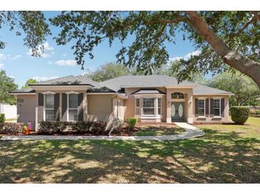 Charming single-story home with well-manicured lawn and inviting double-door entrance at 13301 Biscayne Dr, Grand Island, FL 32735