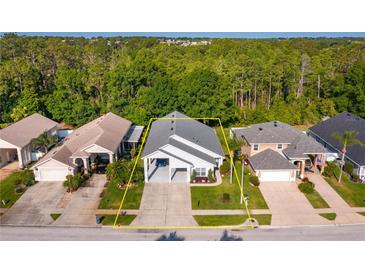 Charming single-story home featuring a portico and manicured lawn at 2539 Caithness Way, Clermont, FL 34714