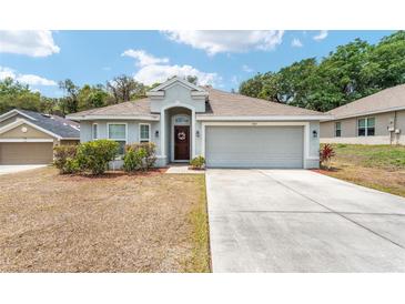 Charming single-story home with a well-manicured front yard, a two-car garage, and a welcoming entrance at 704 Chelsea Ave, Fruitland Park, FL 34731