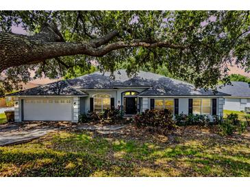 Charming single story home with lush landscaping, shutters, and a two car garage at 11126 Oakshore Ln, Clermont, FL 34711