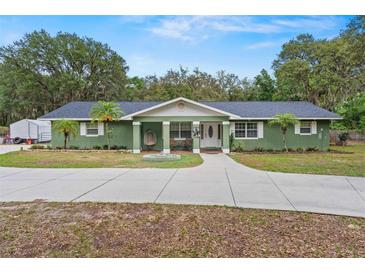 Charming single-story home with a manicured front yard, complemented by fresh exterior paint and mature landscaping at 39812 French Rd, Lady Lake, FL 32159