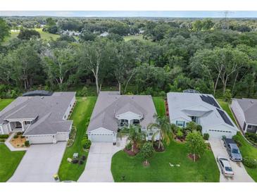 Aerial view of a well-maintained single-Gathering home with lush landscaping and a spacious backyard at 4581 Shenandoah River Trl, Leesburg, FL 34748