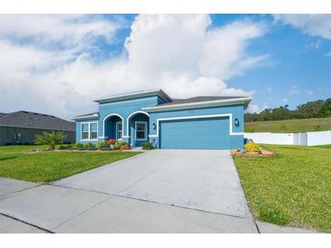 Charming blue single Gathering home with well manicured lawn and landscaping at 6042 Claystone Way, Mount Dora, FL 32757