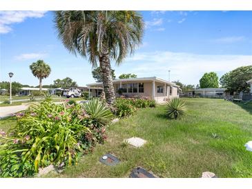 Charming single-story home with a lush front yard and mature landscaping, plus a large palm tree at 1113 Elkhart Cir, Tavares, FL 32778