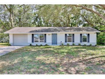 Charming single-story home with a well-maintained front yard, and a driveway leading to an attached garage at 1228 Padgett Cir, Lady Lake, FL 32159