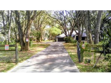 Long driveway to home surrounded by mature trees and lush landscaping at 3930 Griffin Ave, Lady Lake, FL 32159
