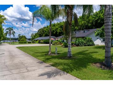 Beautiful street view with lush lawns, palm trees, and well-maintained homes in a serene neighborhood at 4634 Bigler Ln, Mount Dora, FL 32757