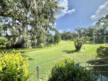 Expansive backyard featuring lush green grass, mature trees, and serene water views for outdoor enjoyment at 105 Avocado Cv, Leesburg, FL 34748
